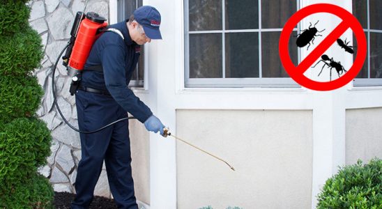 Tokat Dezenfeksiyon böcek ilaçlama ve haşere kontrolü — ilaclama-tr.com